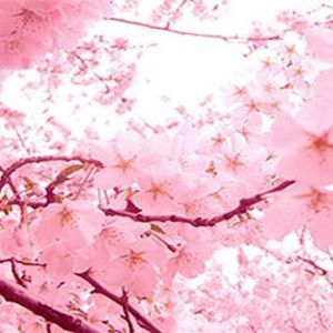 Meet your Posher, Lor